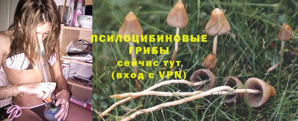 хмурый Алексин